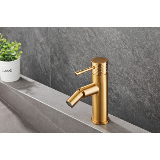 Roy Pro bidé csaptelep szálcsiszolt arany