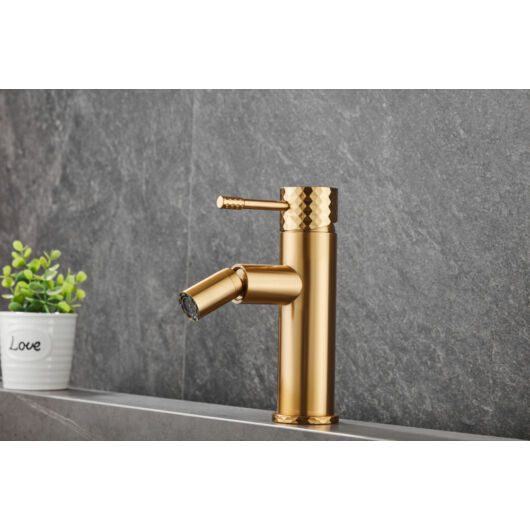 Roy Pro bidé csaptelep szálcsiszolt arany