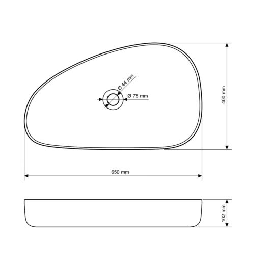 Gamma Elia mosdókagyló, aszimmetrikus ovális